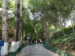 -西安市长乐公园
