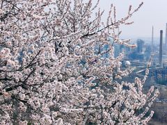 -白水寺森林公园