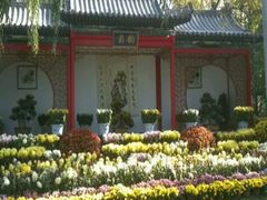 android_upload_pic-迎泽公园