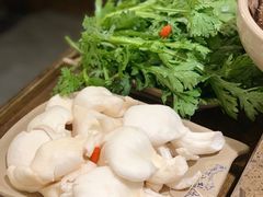 -Xiao Long Kan Hotpot Sydney 小龙坎老火锅