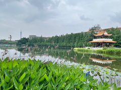 -东山湖公园