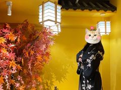 -作幺探案馆·剧本杀实景搜证