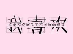 -何老二卤汁凉粉