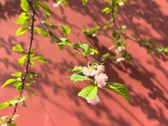-西安市广仁寺