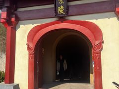 -洛阳古墓博物馆