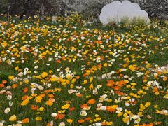 -名花谷生态庄园