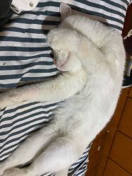 -哈妮儿童摄影(德清店)