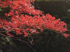 -西湖风景区-江洋畈生态公园