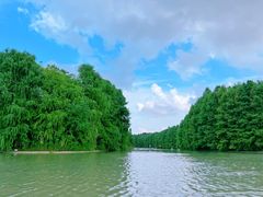 -上海海湾国家森林公园