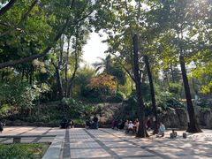 -晓港公园