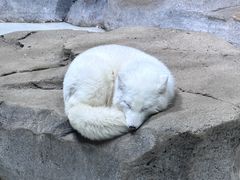 -海合安青岛极地海洋公园
