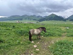 -新疆那拉提国家旅游度假区