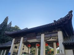 -团结湖公园