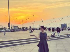 -东港音乐喷泉广场