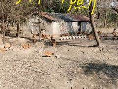 -太阳岛旅游度假区