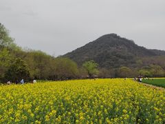 -八卦田遗址公园