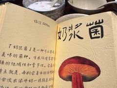 -滇野云南野生菌餐厅(陕西南路店)