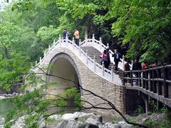 -牛背梁国家森林公园