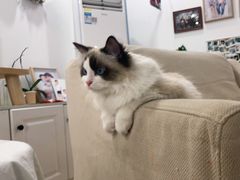 -iF摄影•全家福•证件照•形象照(南山店)