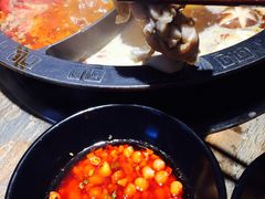 -销魂美蛙鱼头火锅(上海首店)