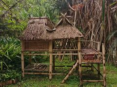 -中国科学院西双版纳热带植物园