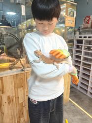 -神奇动物撸宠馆·羊驼·小浣熊·异宠(豫园店)