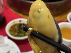 -濠轩阁特色生蚝火锅(水湾路店)