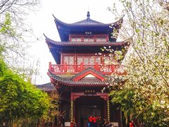 -堤角公园