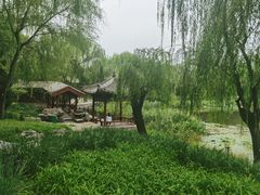 -北坞公园