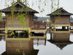 -杭州湾海上花田景区