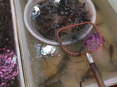 -韩家墅海吉星农产品批发市场