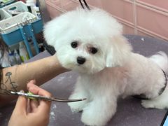 -FAELING PETS美天灵宠物(合生汇店)