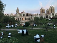 -沈阳于洪碧桂园凤凰酒店