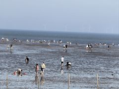 -奉贤海滩