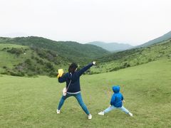 -大姆山草场