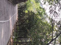 -大雁山风景区