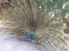 -春记潮汕牛肉火锅