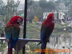 android_upload_pic-西安世博园