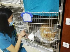 -美联众合动物医院·24h转诊中心