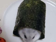 -吉友粥底火锅(方斜路店)