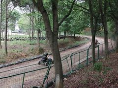 -千龙湖生态旅游度假区