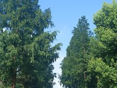 -滆湖低碳生态公园