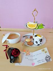 -海豚湾高端月子会所(黄浦店)