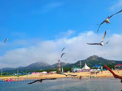 -海驴岛(荣成市)