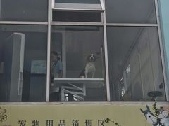 -汪说喵讲宠物乐园宠物酒店(红星美凯龙店)