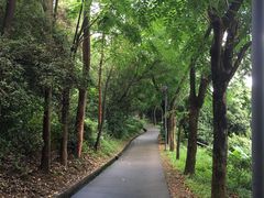 -福神岗公园