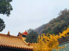 -千佛山风景名胜区