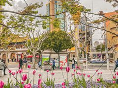 -静安公园(静安寺街道)