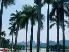 -南宁花花大世界景区