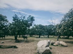 -西安秦岭野生动物园